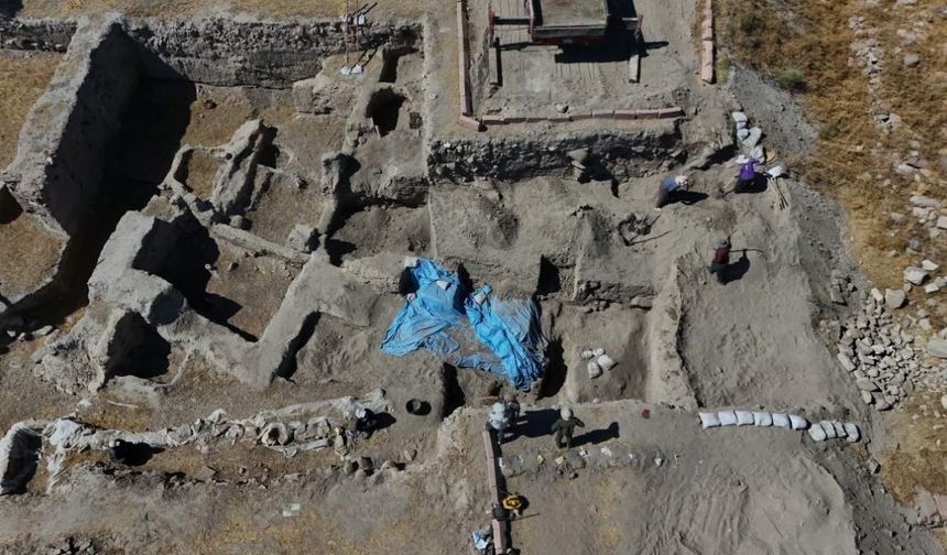 Binlerce yıllık sır gün yüzüne çıktı: Kayseri’de 4.500 yıllık meyve kalıntıları bulundu