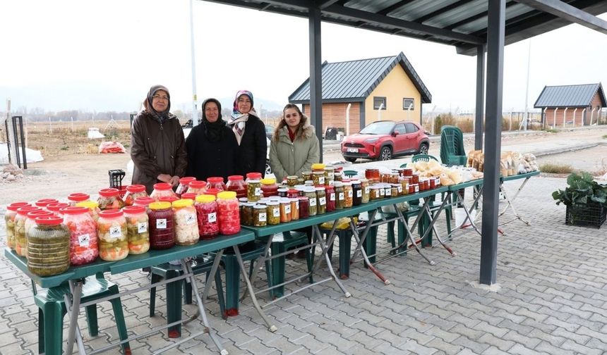 Kayseri’de kent tarımıyla 12 ton ürün elde edildi
