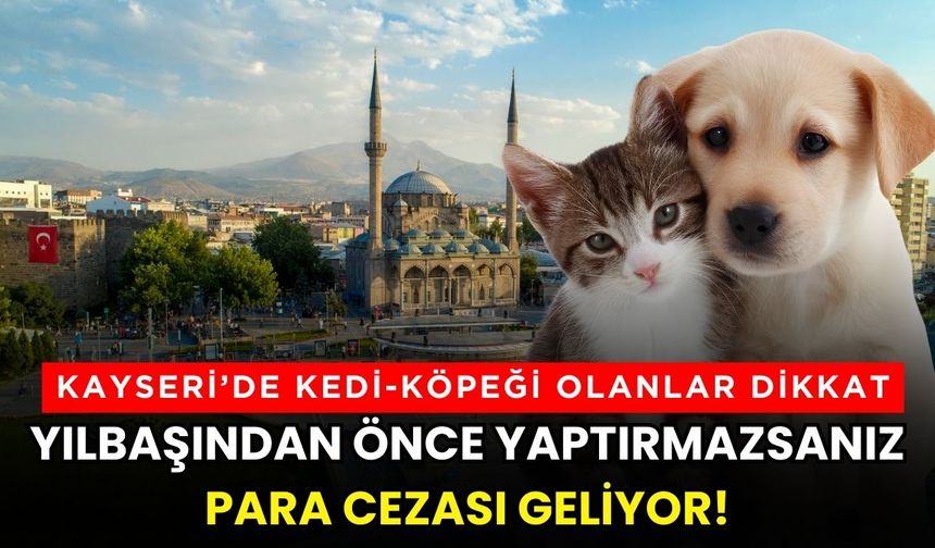 Kayseri’de kedi-köpeği olanlar dikkat: Yılbaşından önce yaptırmazsanız para cezası geliyor!