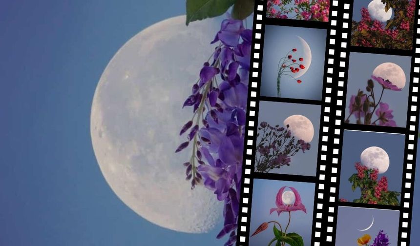 Kayserili gökyüzü fotoğrafçısı Betül Türksoy 'Ay Çiçekleri 2025' fotoğraf koleksiyonu
