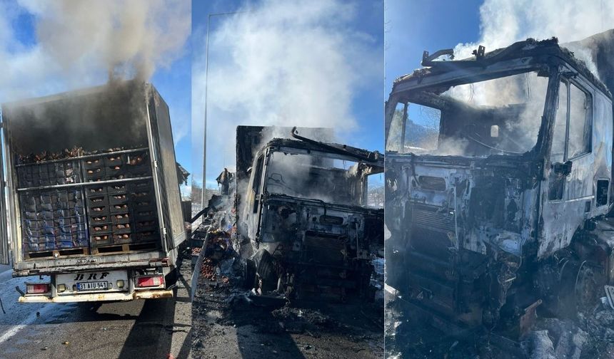 Adana-Pozantı otoyolu’nda narenciye yüklü tır yandı