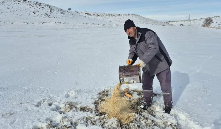 Bünyan’da sokak hayvanları için yem ve mama bırakıldı
