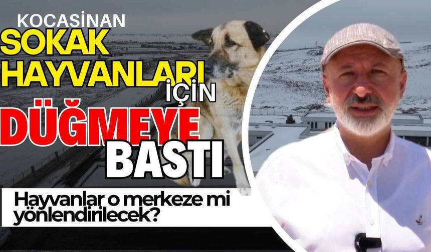 Kocasinan'a Hayvan Bakım Evi açılıyor!