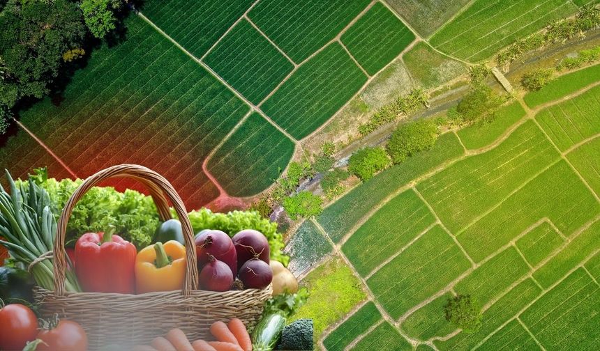 Tarımsal Yatırım Rehberi Yayımlandı: Kayseri'de hangi ilçeye ne yatırımı yapılmalı?