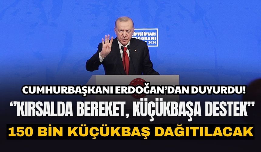 Erdoğan’dan duyurdu! Kırsalda Bereket, Küçükbaşa Destek”: 150 bin küçükbaş dağıtılacak
