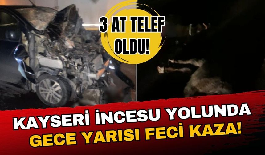 Kayseri İncesu yolunda gece yarısı kaza: Yola çıkan 3 at telef oldu!