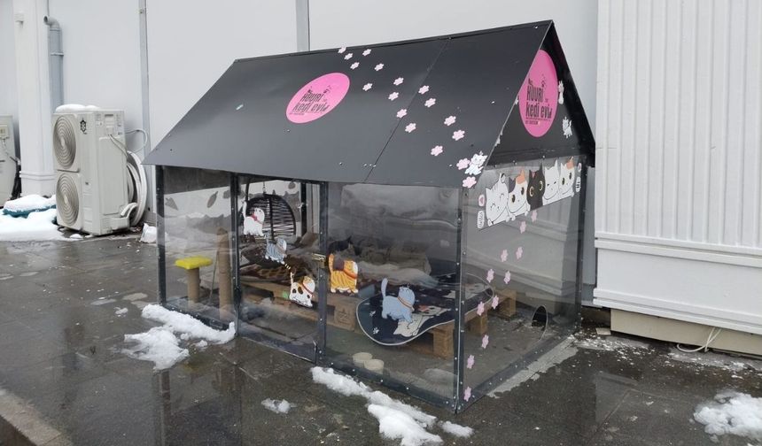 Kayseri esnafından örnek davranış: Isıtmalı kedi evi yaptılar