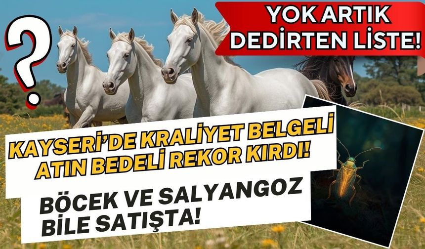 Kayseri’de yok artık dedirten liste! Kraliyet belgeli atın bedeli rekor kırdı, böcek ve salyangoz bile satışta!