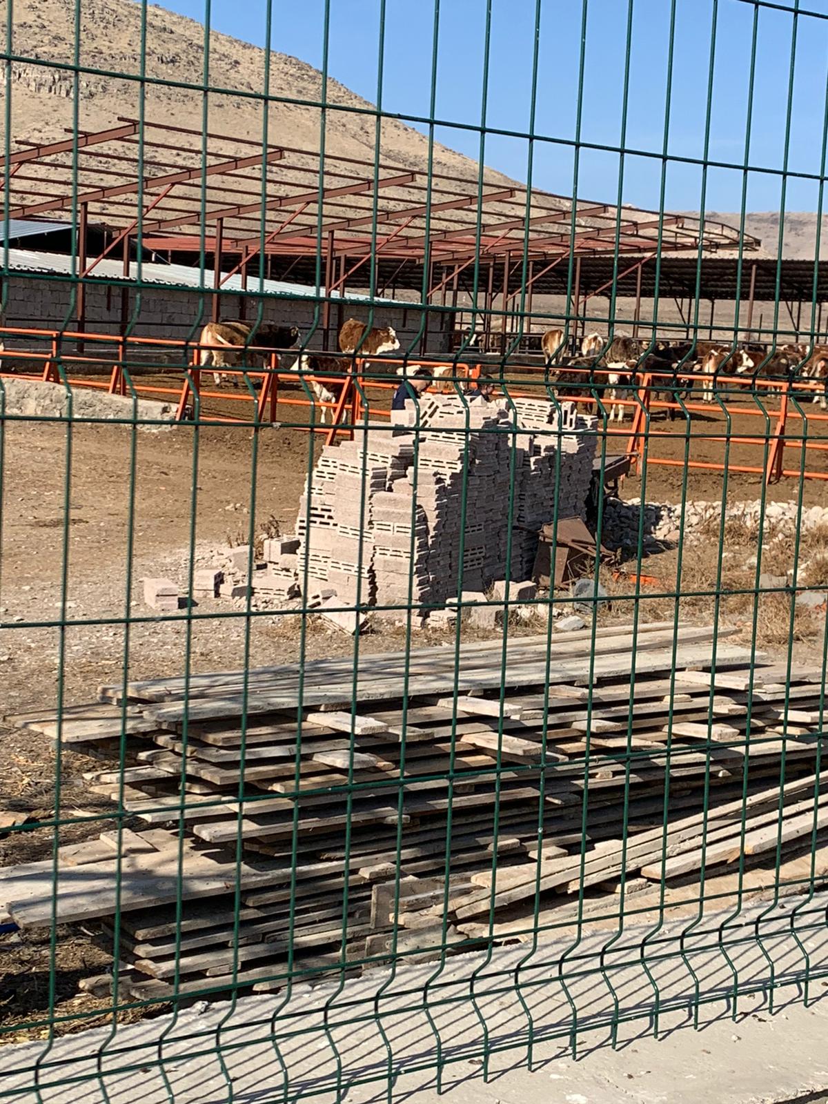 WhatsApp Image 2019 11 25 at 17.50.53 1