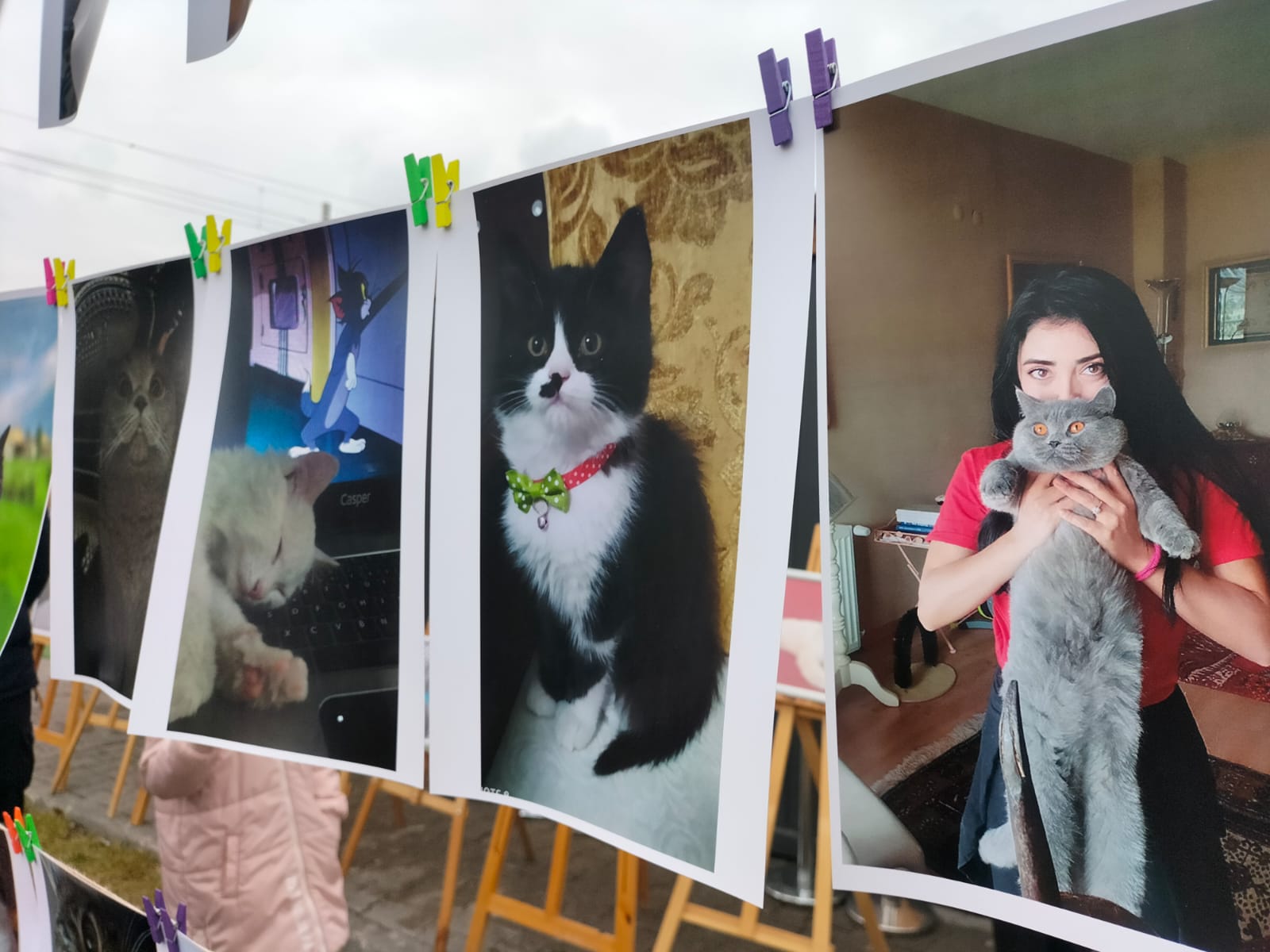 Kocasi̇nan Kedi̇ Yarişmasi (2)