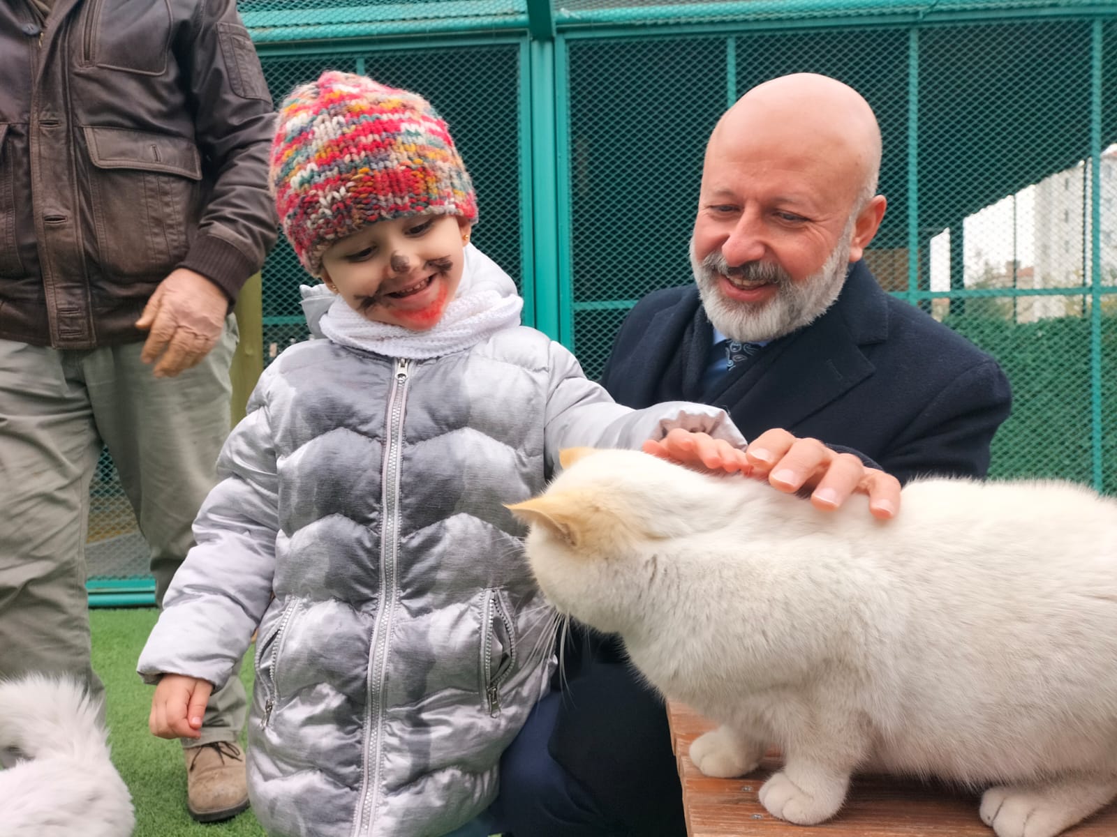 Kocasi̇nan Kedi̇ Yarişmasi (7)