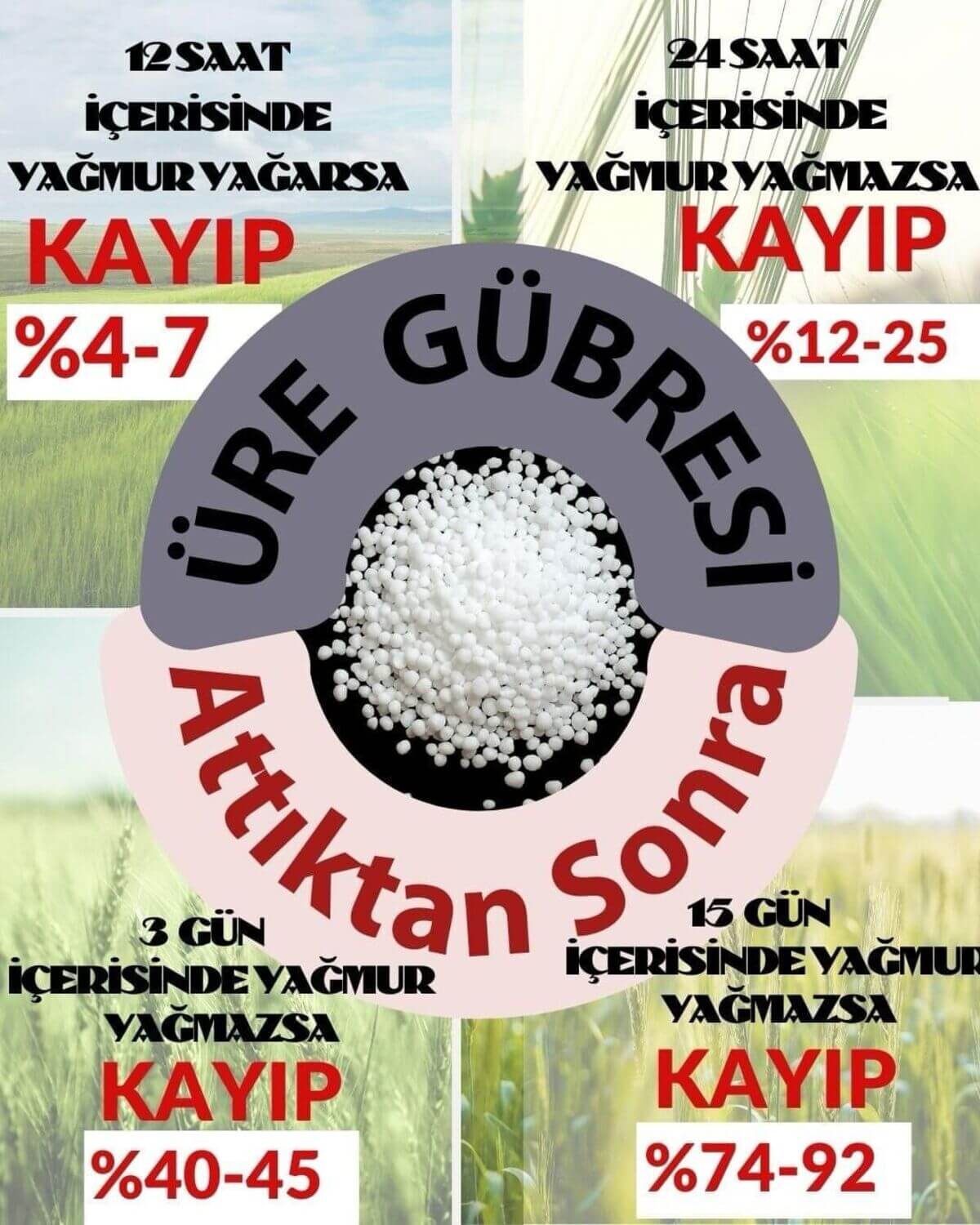 Kayseritarım (1)