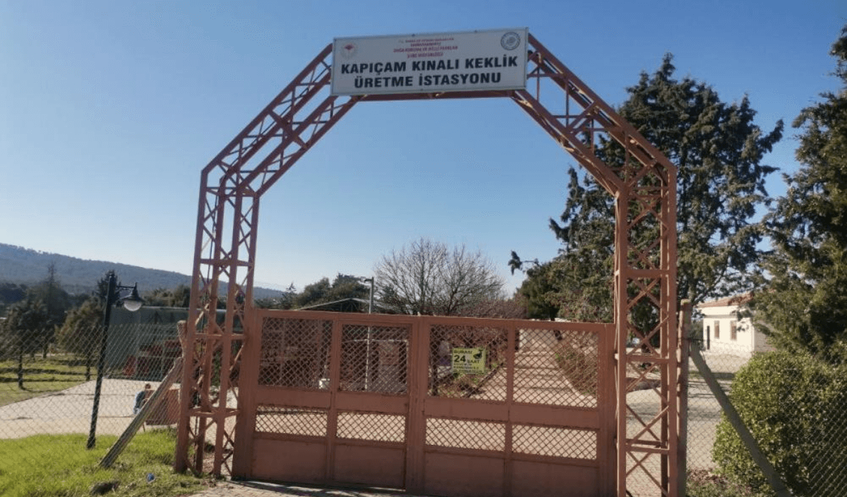 Lacivert Kırmızı Son Dakika Hareketli Instagram Gönderisi 2024 03 20T123233.442 (1)