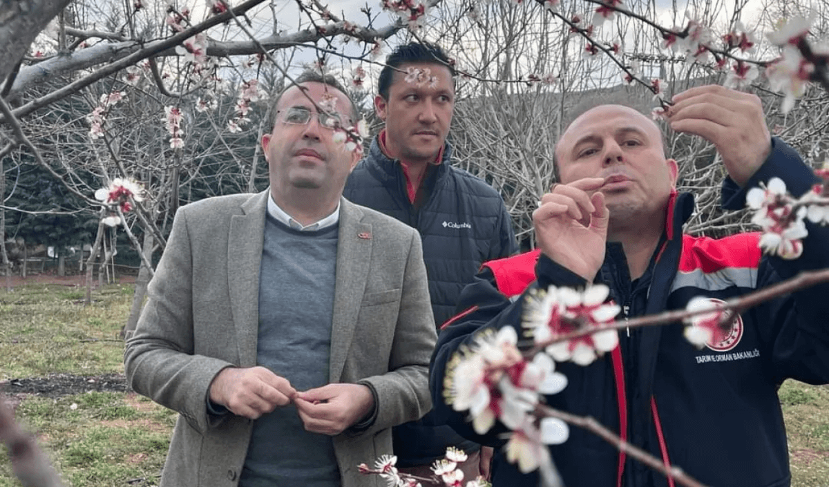 Kayseri'de Merak Uyandıran İnceleme!
