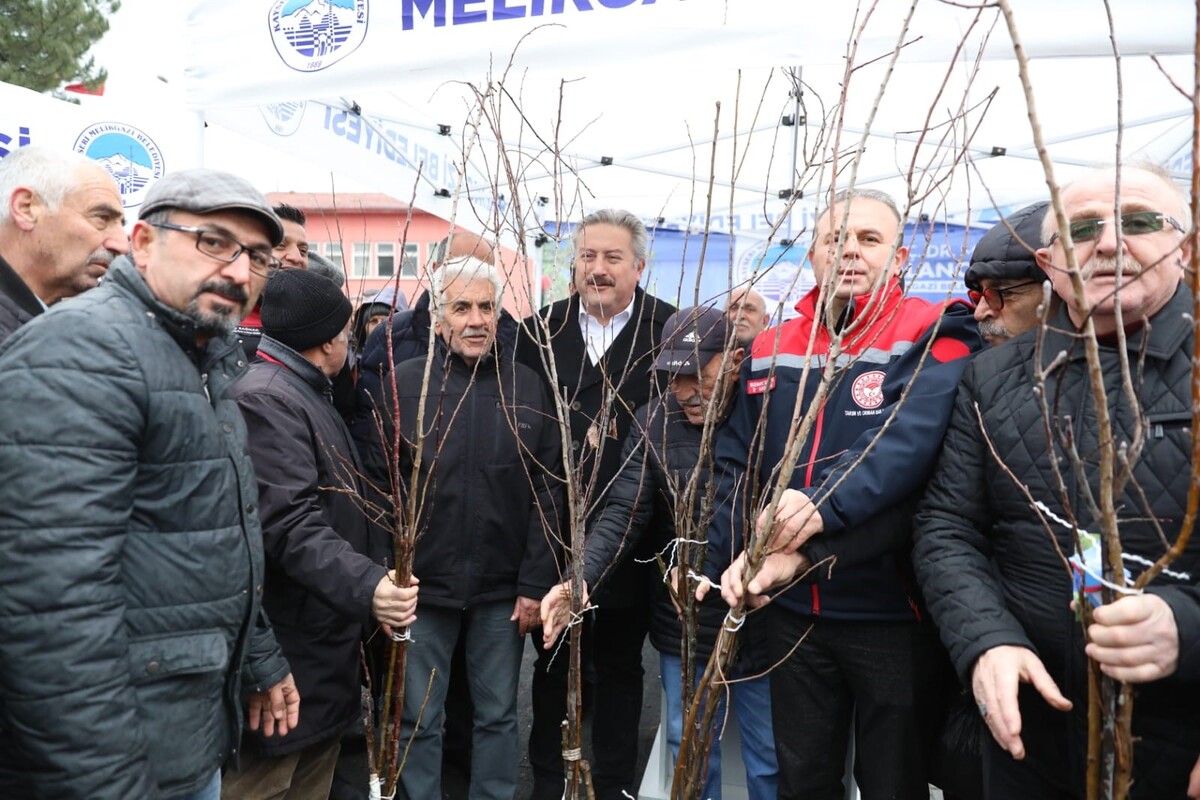 Melikgazi Meyve Fidesi (3)