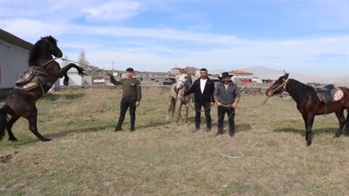 Oy Hacılar