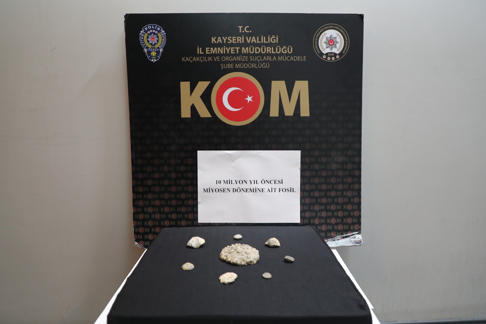 Tarihi Eser Kaçakçısı (1).