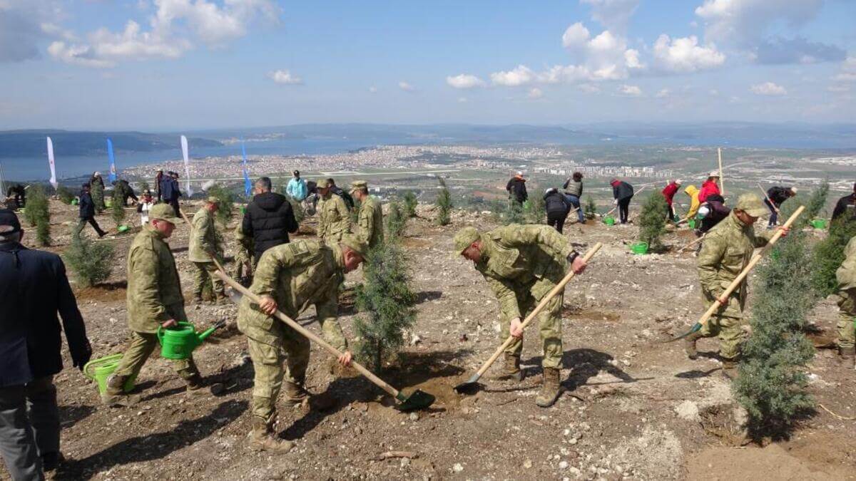 Türkiye, Olası Bir Orman Yangınına Hazırlıklı Mı?
