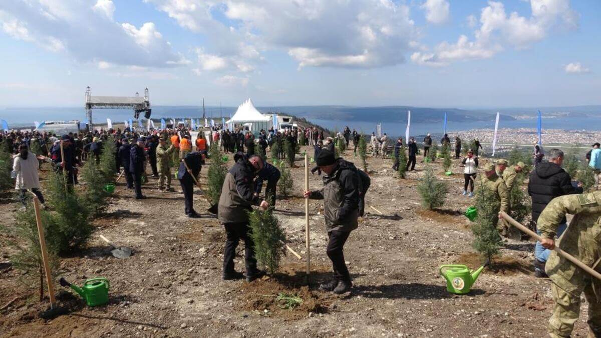 Türkiye, Olası Bir Orman Yangınına Hazırlıklı Mı?
