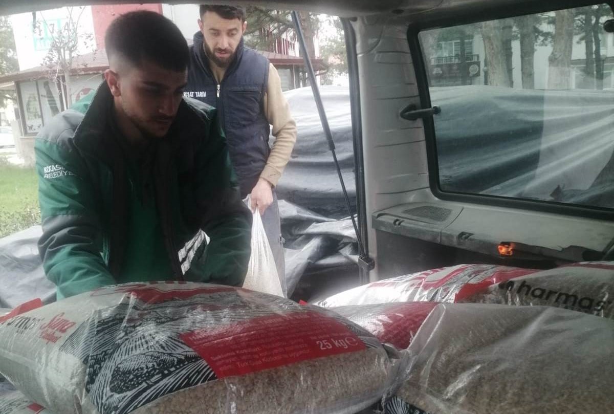 Kocasinan Tohum Desteği (2)