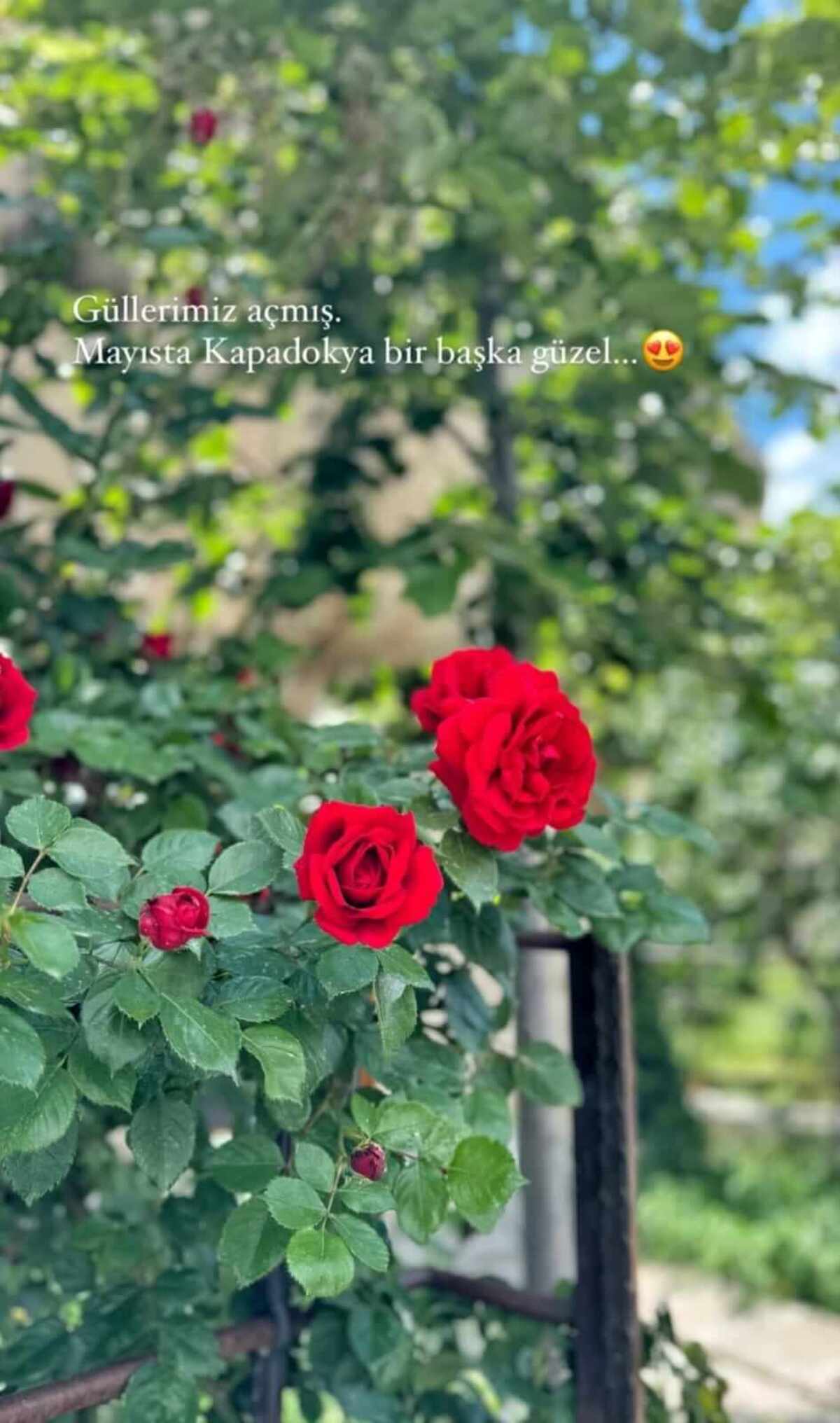 Ünlü Oyuncu Kayseri'ye Geldi! Verdiği Poz Olay Oldu!-4