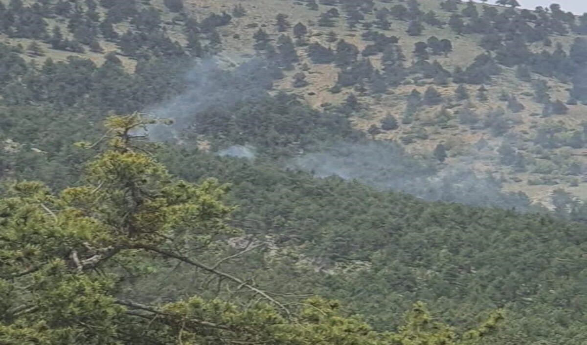 Adana Yangınnn2 (1)