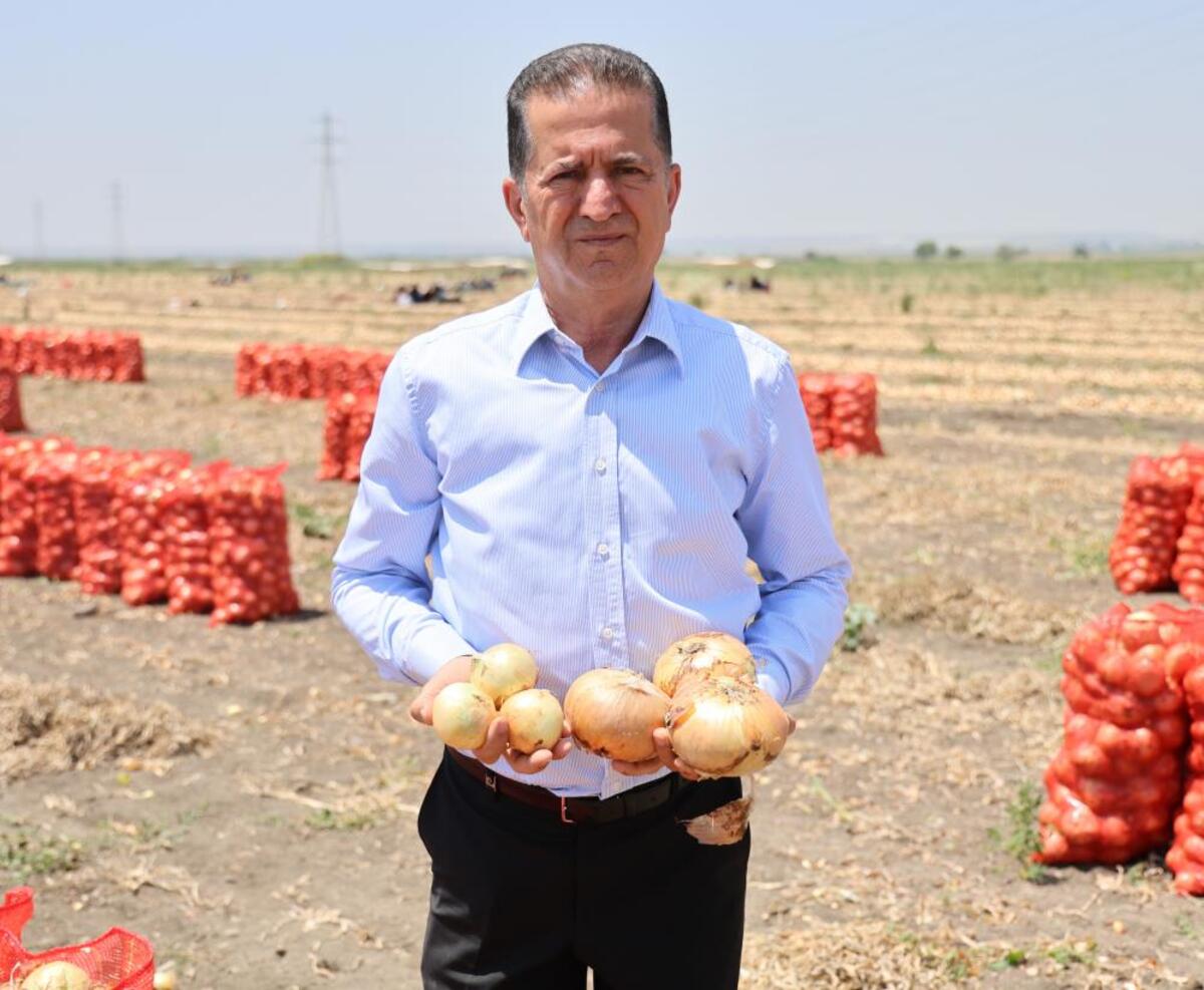 İnanılmaz Fiyat Farkı! O Ürün Tarlada 5 Liraya Düştü!-2