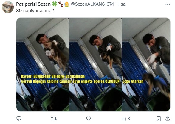Barınak Köpek Çamaşır Suyu (2)