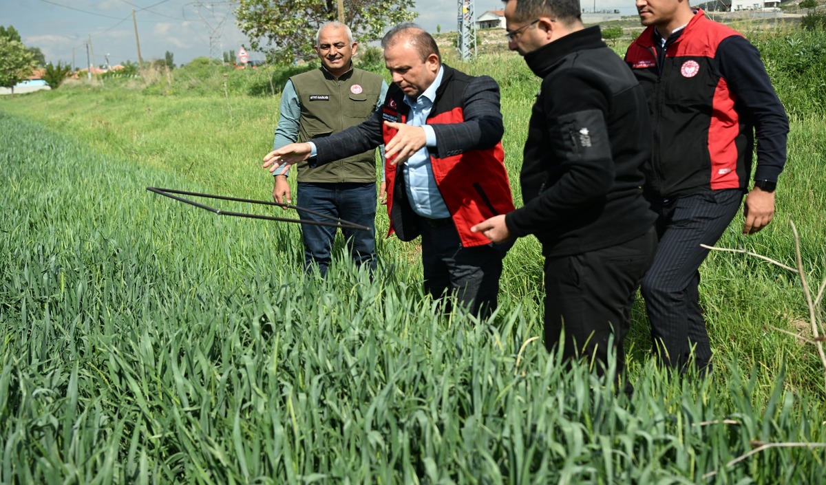 Kayseri'de İl Tarım Müdürü Bülent Saklav Ne Yapıyor?