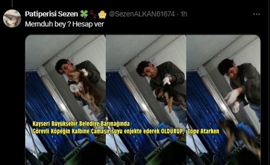 Memduh Hesap Ver 1