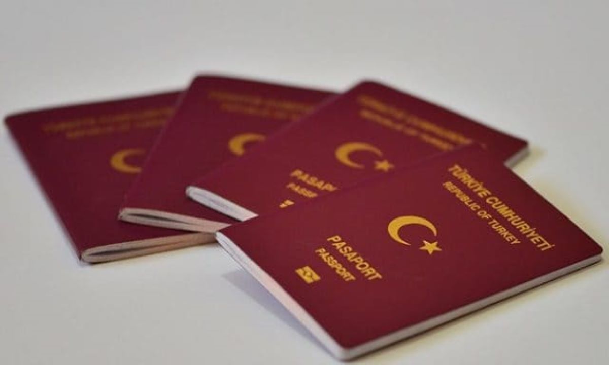 Pasaport 1