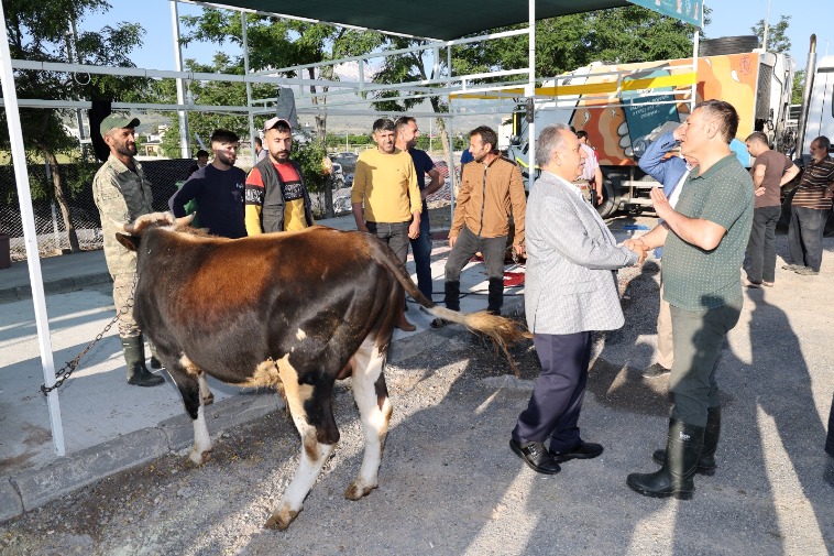Talas Kurban2