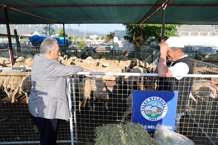 Talas Kurban3