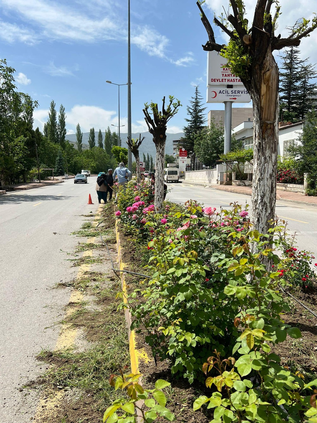Yahyalı Girişi peyzaj