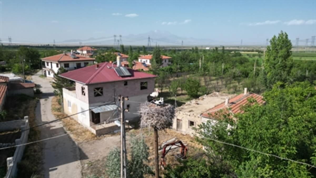 elektirik direği