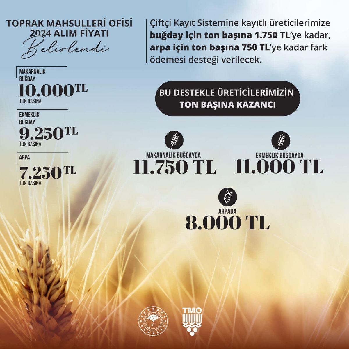 Aşkın Genç’ten Hububat Fiyatlarına Sert Tepki Çiftçilerin Alın Terini Ve Emeğini Hiçe Saymaktır!