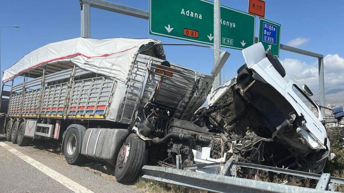 Feci Kaza! Büyükbaş Hayvan Yüklü Tır Devrildi!-1