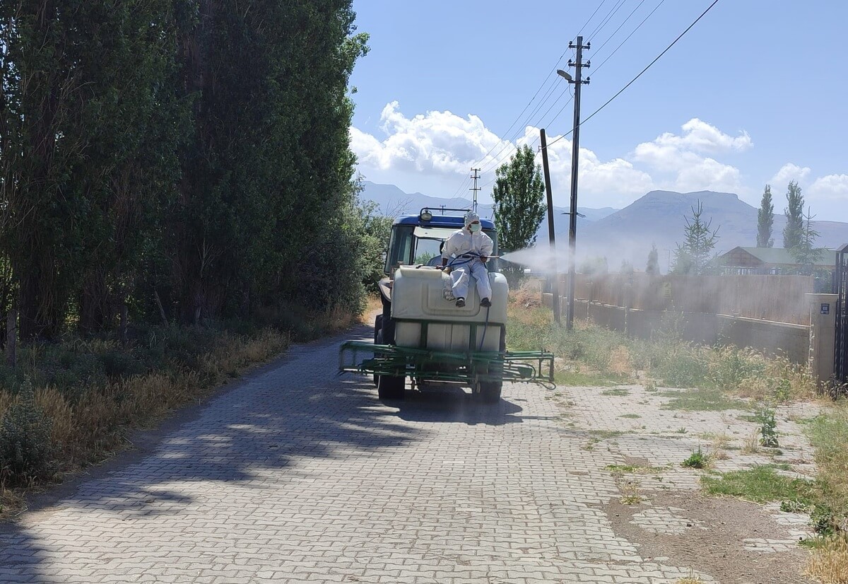 Her Yerde Görülmeye Başlanmıştı! Belediye Harekete Geçti! 3 (1)