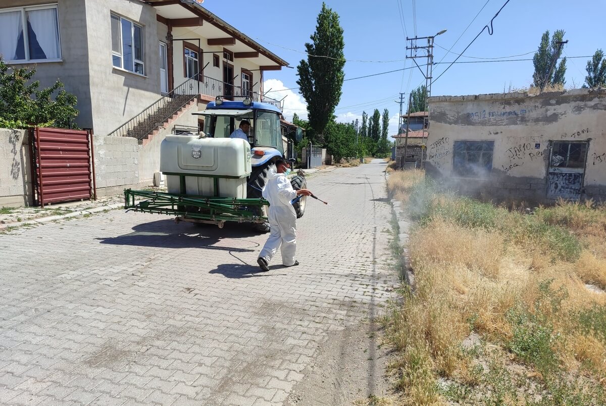Her Yerde Görülmeye Başlanmıştı! Belediye Harekete Geçti! 5 (1)