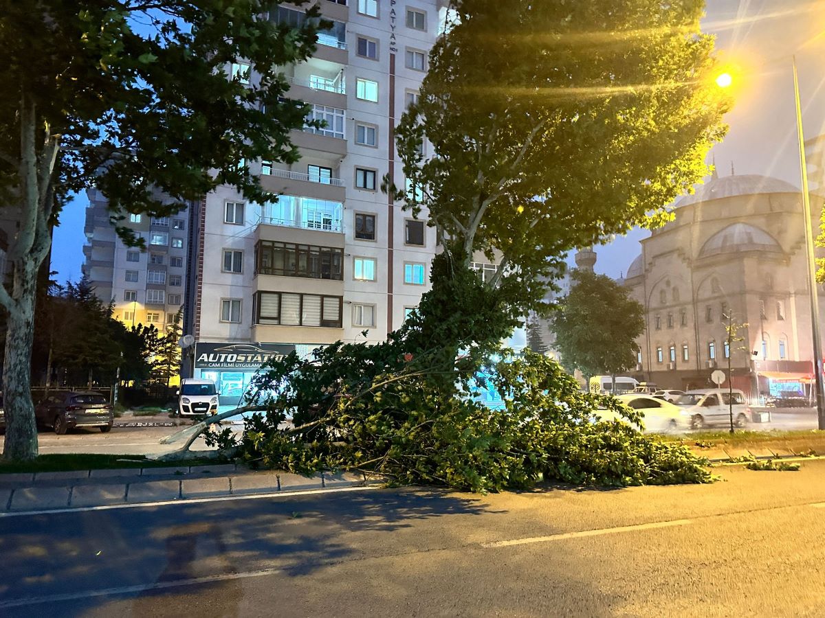 Kayseri’de İşler Bir Anda Tersine Döndü! Ağaçlar Yerinden Söküldü