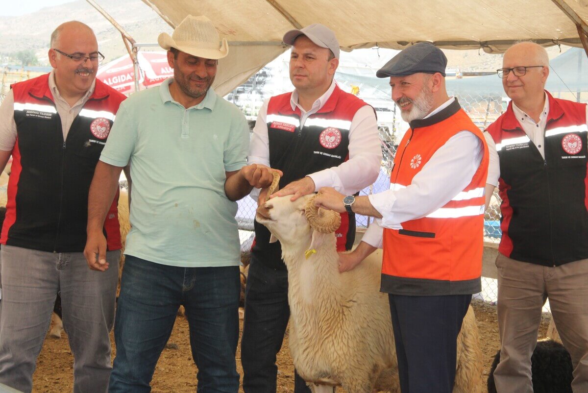 Kayseri’de Kurbanlık Hayvanlarda Bulaşıcı Hastalığa Rastlandı Mı Açıklama Geldi! (2)