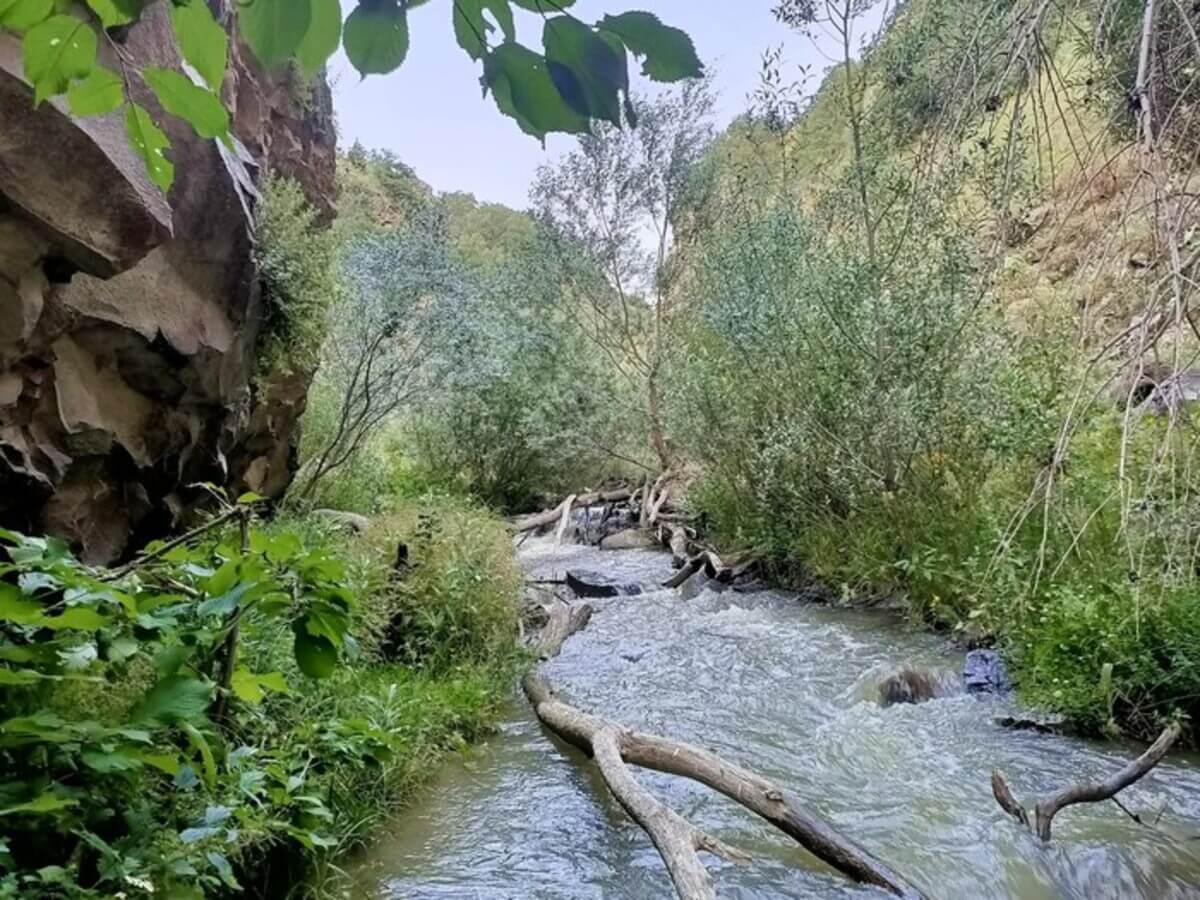 Kırlangıç Vadisi 3