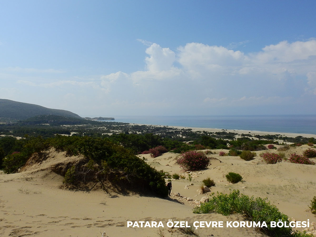 Patara