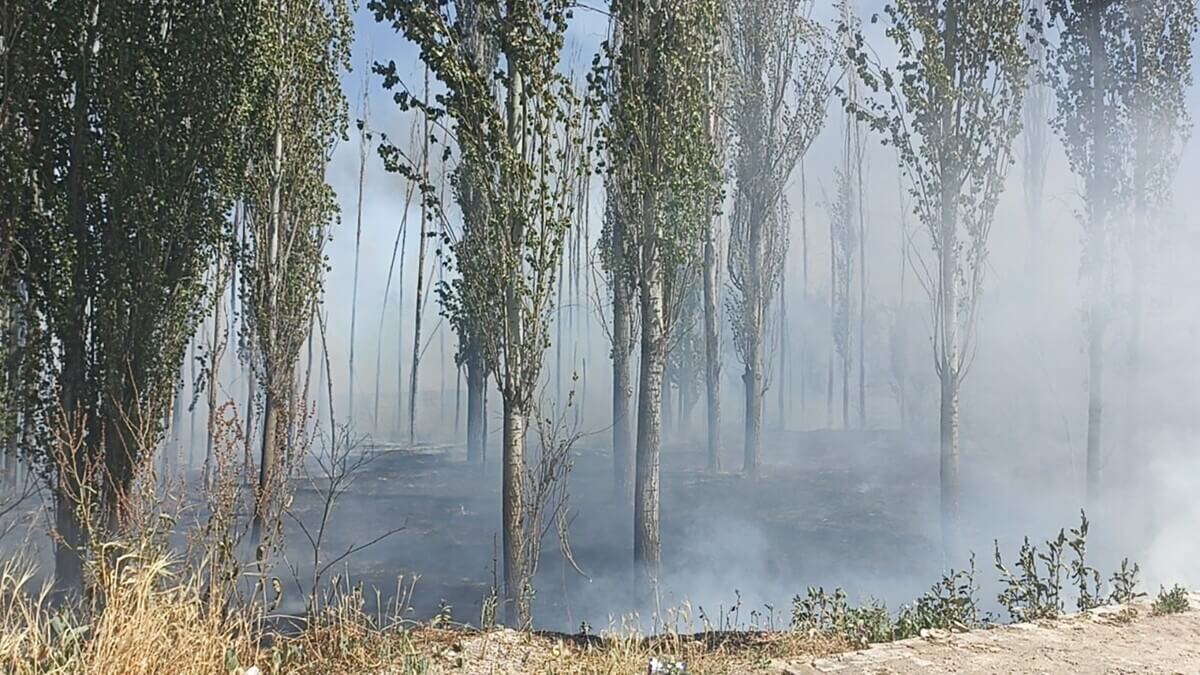 Sivas'ta Korkutan Yangın Kamyonlar Küle Döndü! (3)