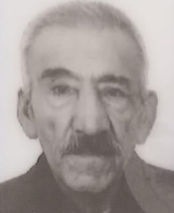 Yaşlı Adam Evinde