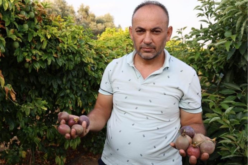 Adsız Tasarım (53)