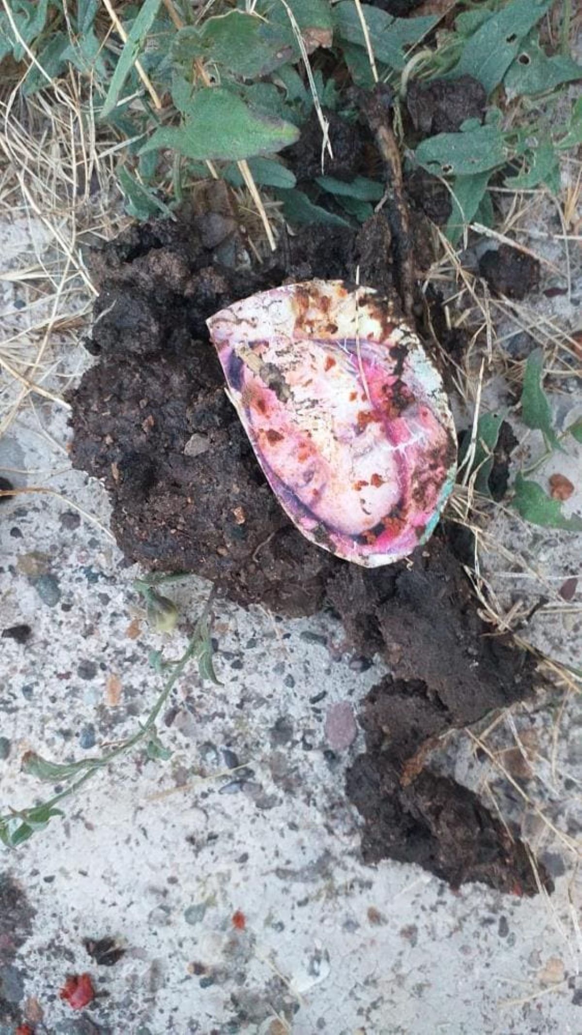 Akıl Almaz Olay Eve Gelen Jandarma, Kuyuya Atılmış Kemik Ve Fotoğraf Buldu! 3