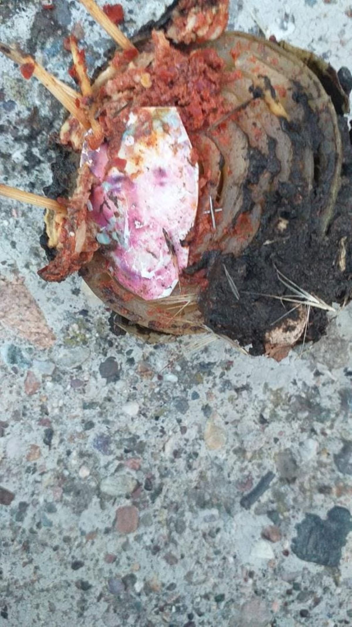 Akıl Almaz Olay Eve Gelen Jandarma, Kuyuya Atılmış Kemik Ve Fotoğraf Buldu! 4