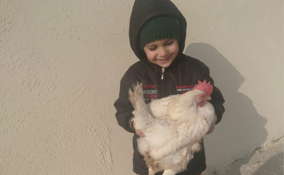 Furkan Bisiklettt