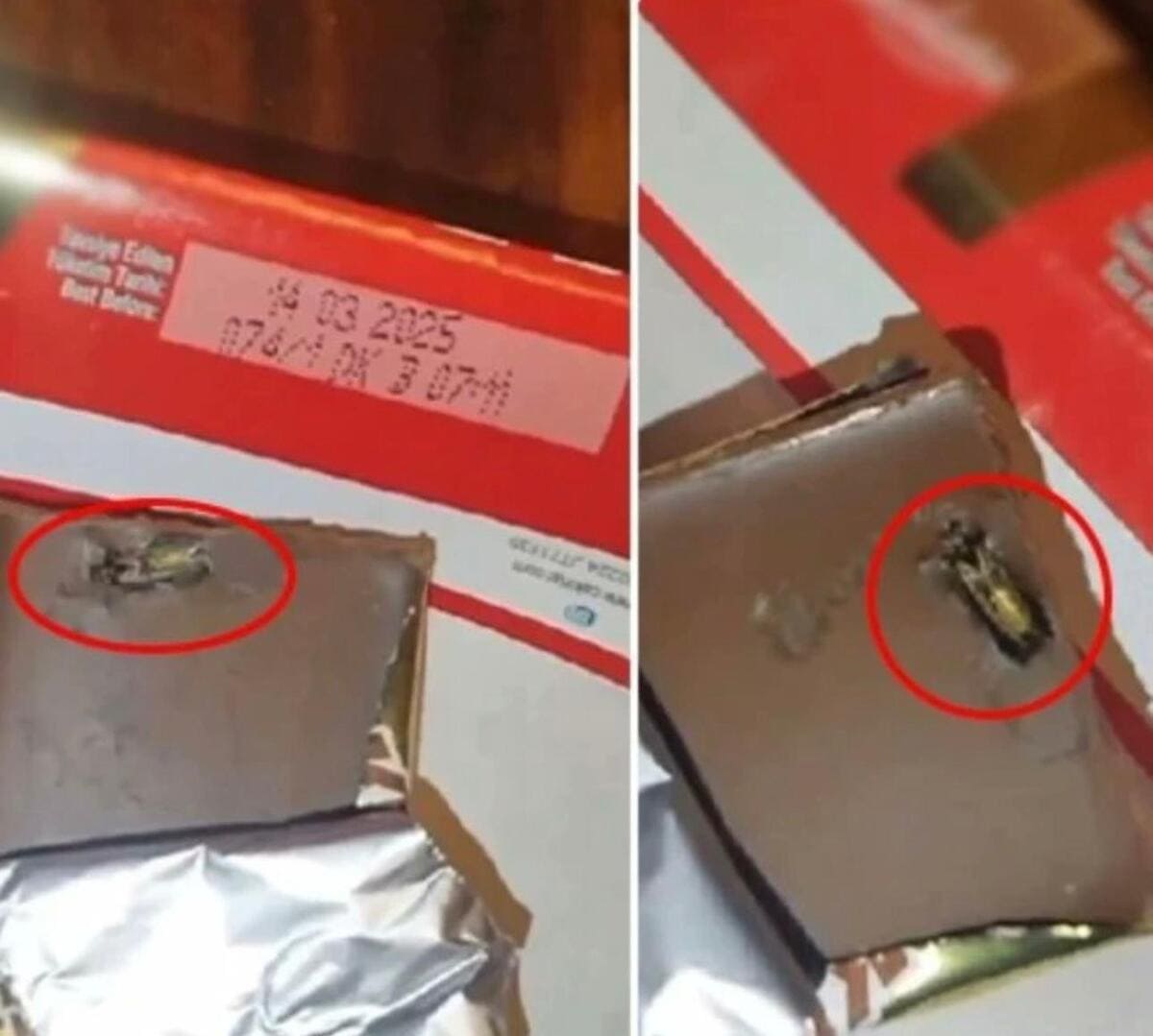Içinden Böcek Çıktı